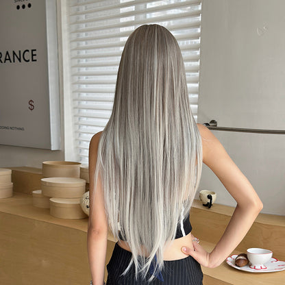 [C-0472-5] Korean Silver Grey Long Straight Wig with Air Bangs